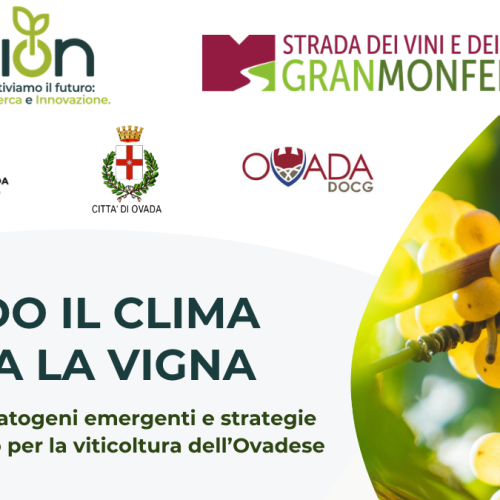 Quando il clima cambia la vigna - mercoledì 18 marzo 2026