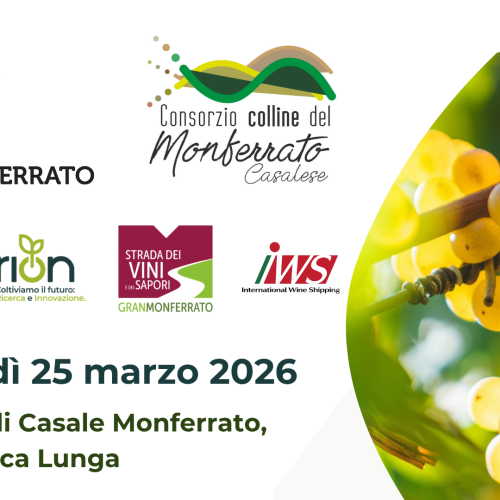 Il futuro della viticoltura tra mercati globali e sfide climatiche: appuntamento al Castello di Casale Monferrato il 25 marzo