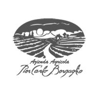 logo-bergaglio