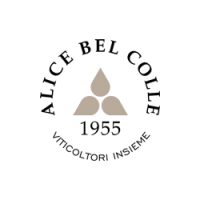 NUOVO LOGO ABC-1 colore.pdf
