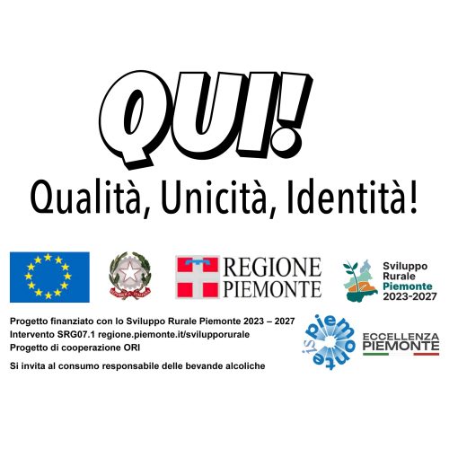 qui-news